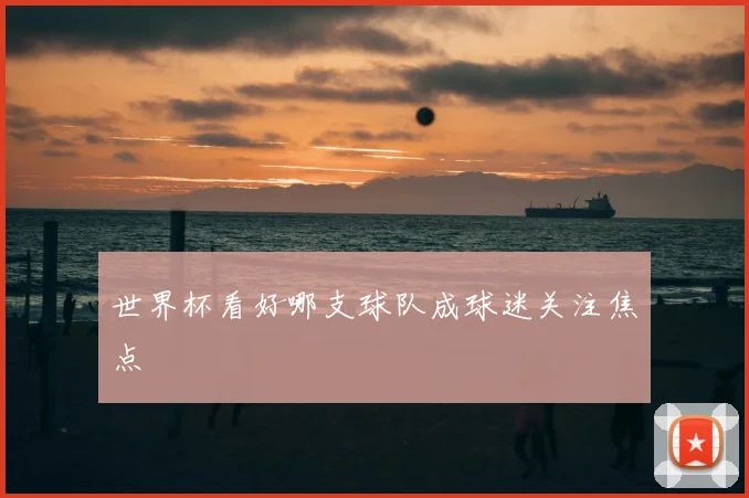 世界杯看好哪支球队成球迷关注焦点
