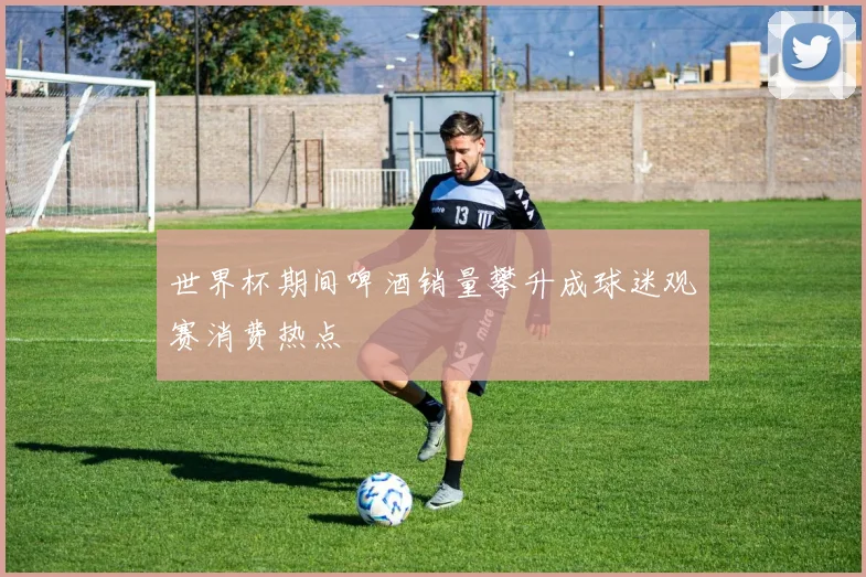 世界杯期间啤酒销量攀升成球迷观赛消费热点