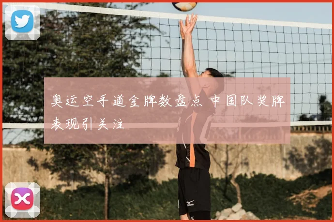 奥运空手道金牌数盘点 中国队奖牌表现引关注