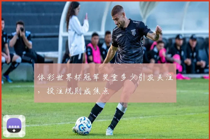 体彩世界杯冠军奖金多少引发关注，投注规则成焦点