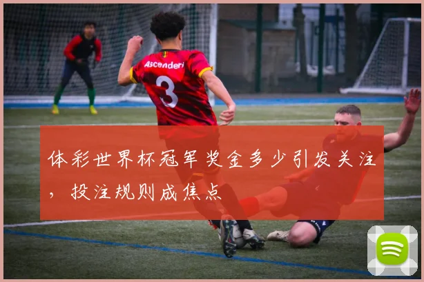 体彩世界杯冠军奖金多少引发关注，投注规则成焦点