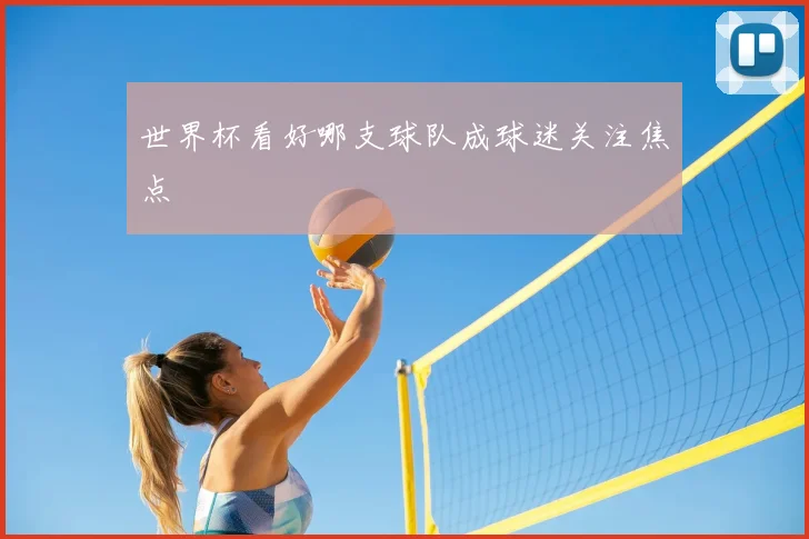世界杯看好哪支球队成球迷关注焦点