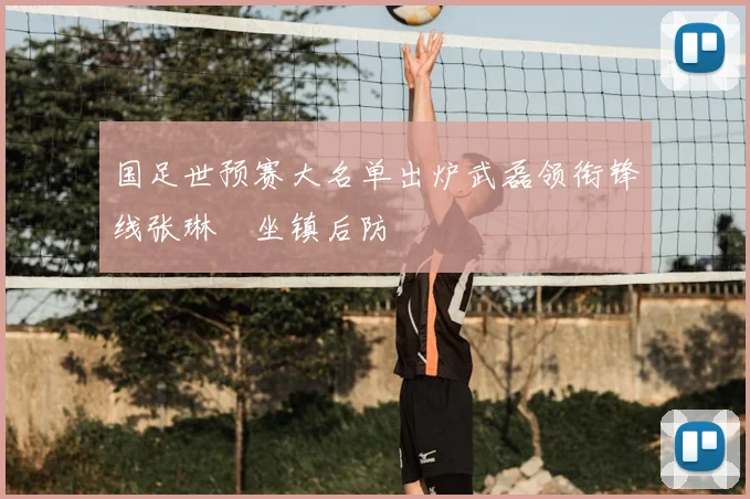 国足世预赛大名单出炉武磊领衔锋线张琳芃坐镇后防