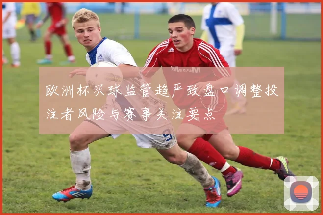 欧洲杯买球监管趋严致盘口调整投注者风险与赛事关注要点