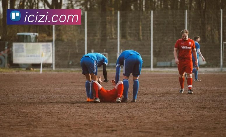 熊猫网官网首页服务体系